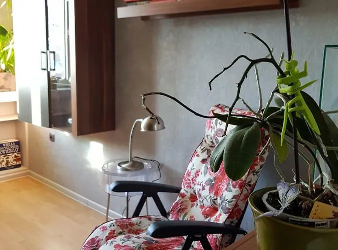 Apartament Tequila
